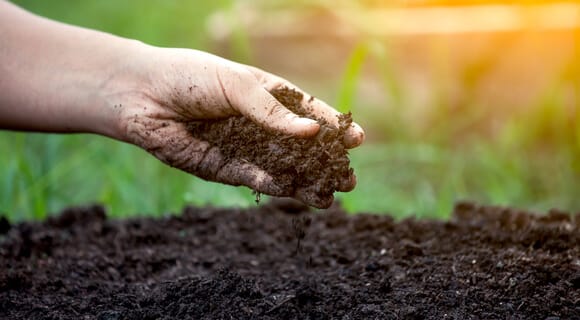 Manteniendo la Fertilidad del Suelo!