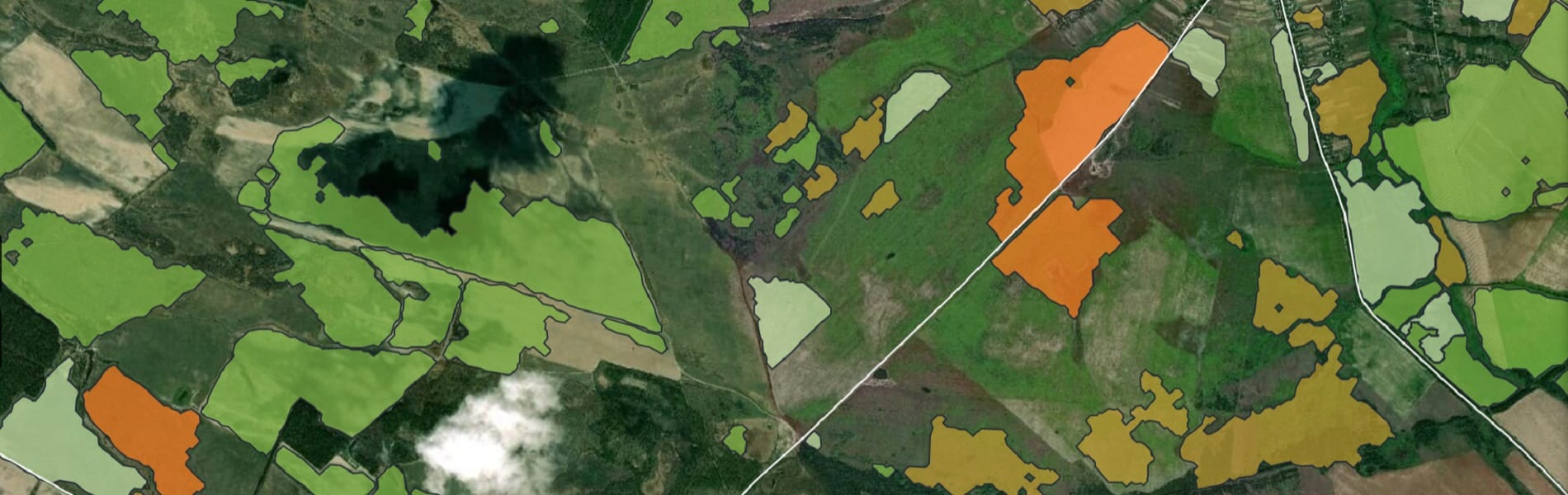 Aplicaciones del NDVI