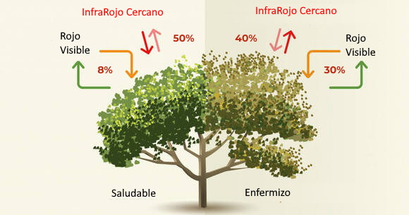 Como Funciona el NDVI